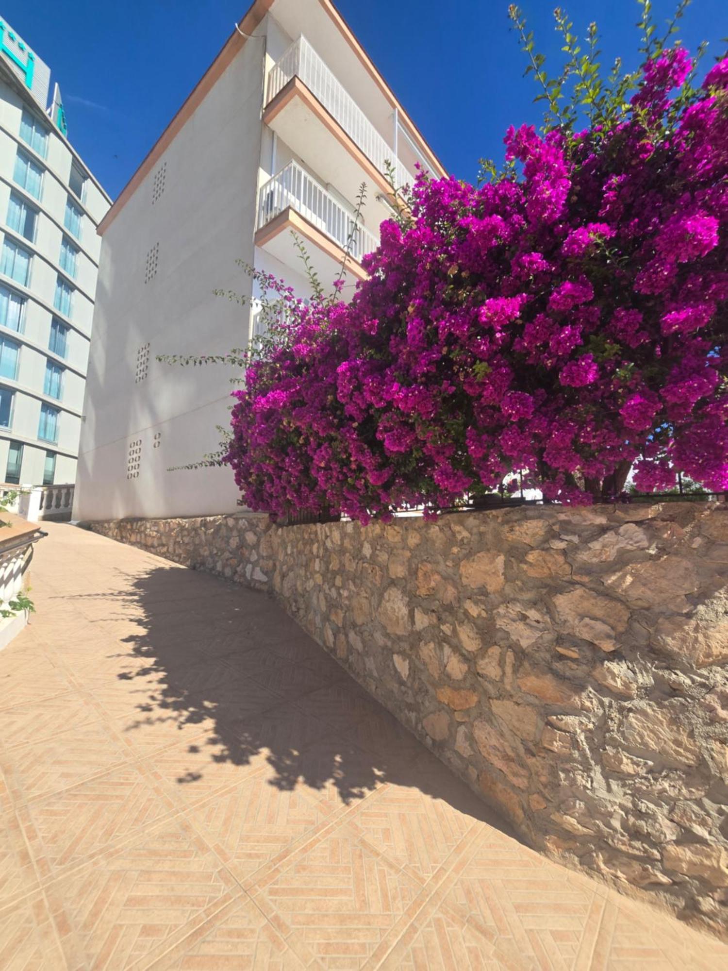 La Cantera Appartement Playa Peñíscola Eksteriør bilde